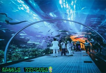 Jakarta Aquarium - Konservasi Laut Dengan Teknologi Hijau