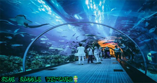 Jakarta Aquarium - Konservasi Laut Dengan Teknologi Hijau